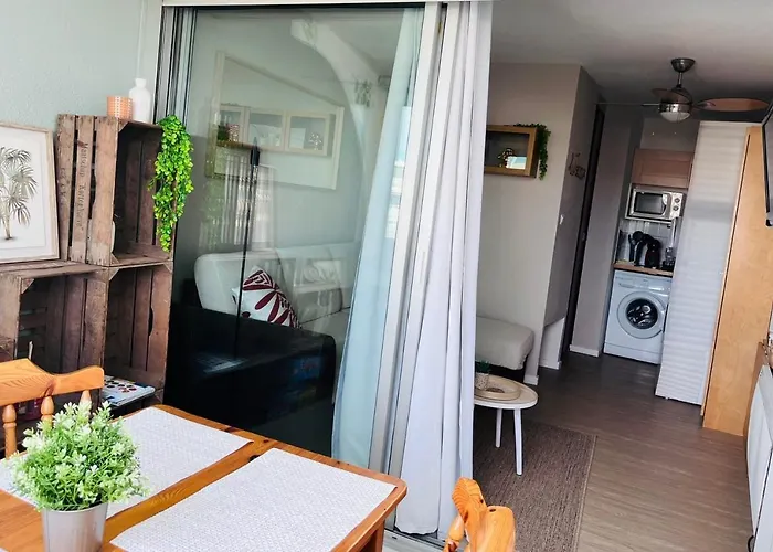 Apartamento Le Dauphin - 150m De La - Piscine - *
